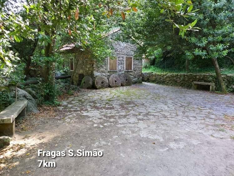 Casa da Vila Figueiro Dos Vinhos Esterno foto