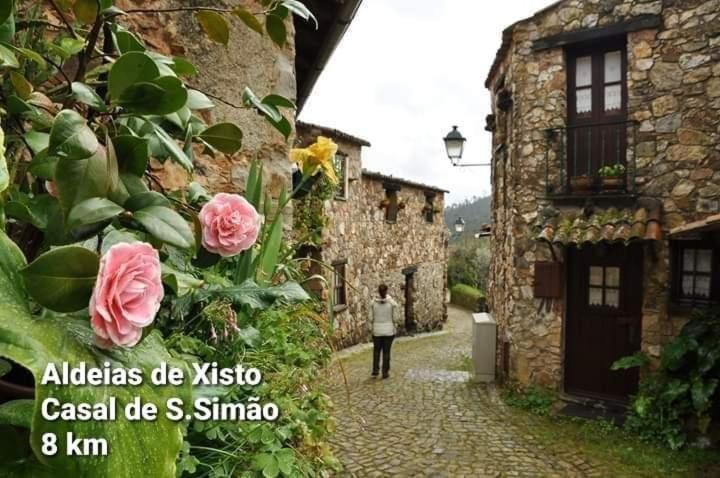 Casa da Vila Figueiro Dos Vinhos Esterno foto
